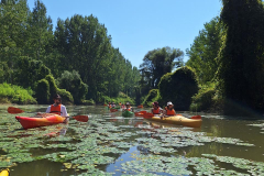 belgrade-amazon-adventure-5