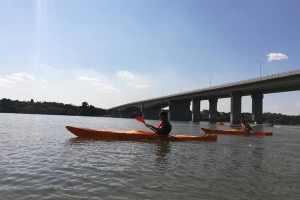 Sava bridges and great war island